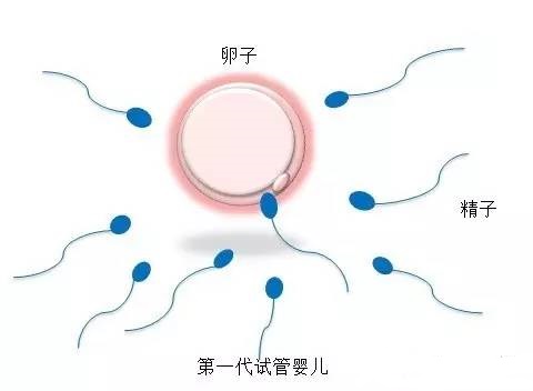 PGT实验室
